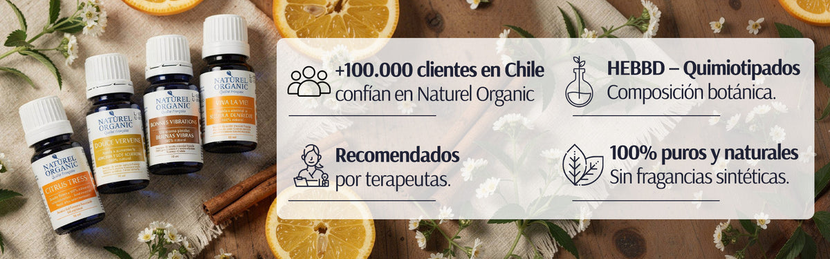 OFERTAS