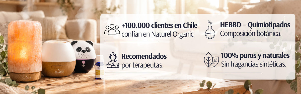 Difusores de aromas eléctrico y Humidificadores