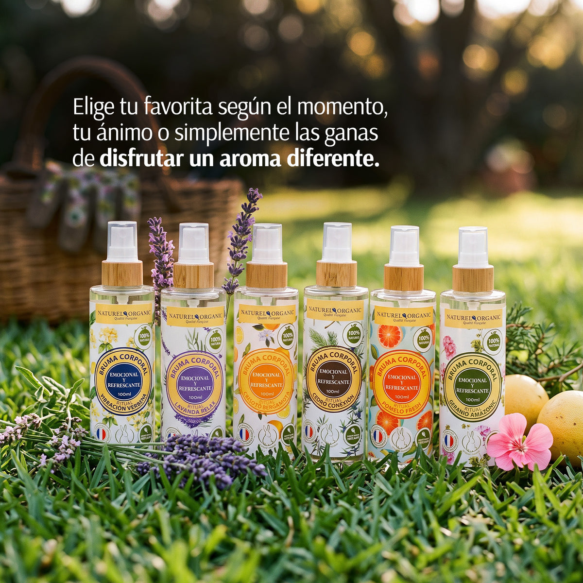 Pack Ritual Aromático