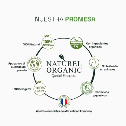 Difusor Eco Piedra Cristal + Sinergia Douce Verveine 10ml  De Regalo