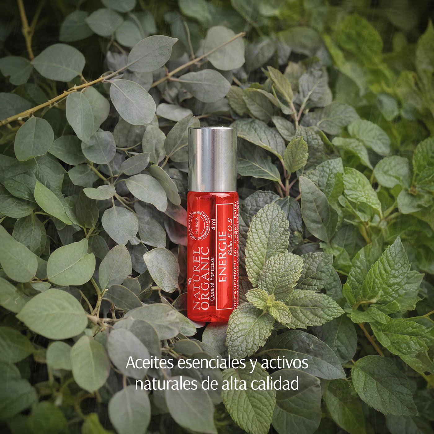 Pack regalo hombre- Energía &amp; concentración