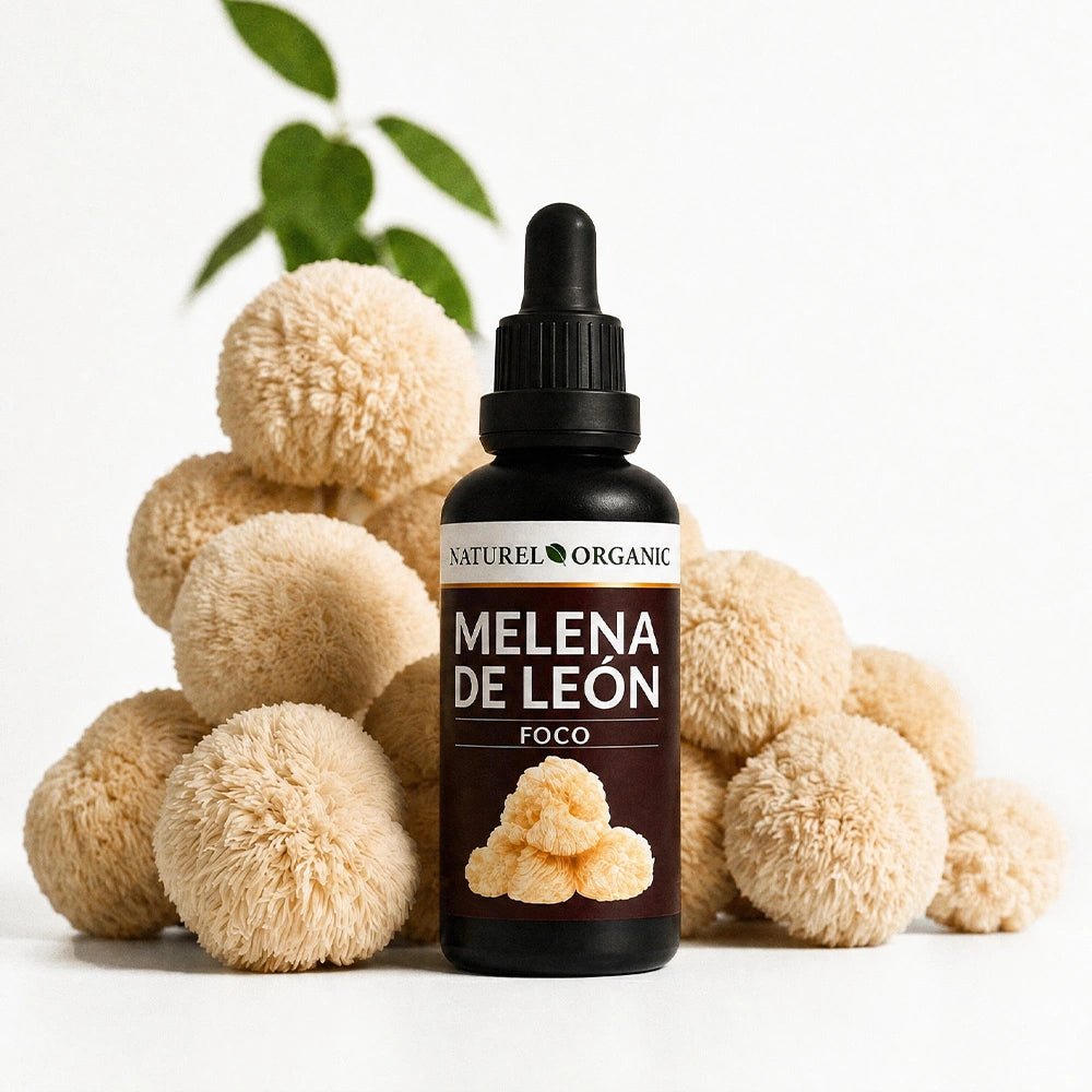 Melena de León extracto líquido 50ML