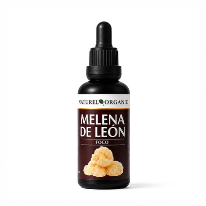 Melena de León extracto líquido 50ML