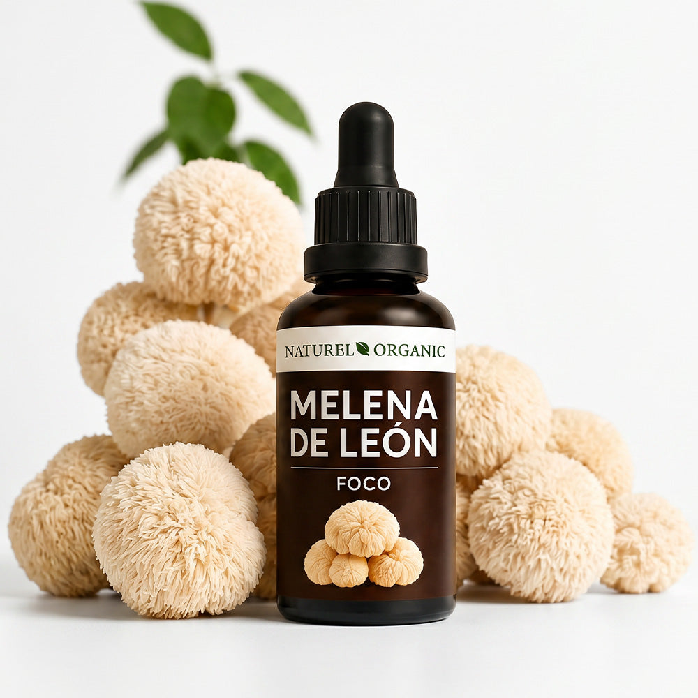 Melena de León extracto líquido 50ML