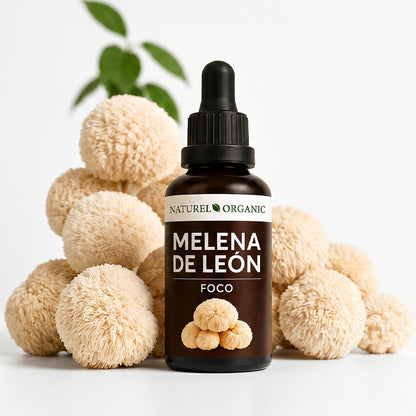 Melena de León extracto líquido 50ML