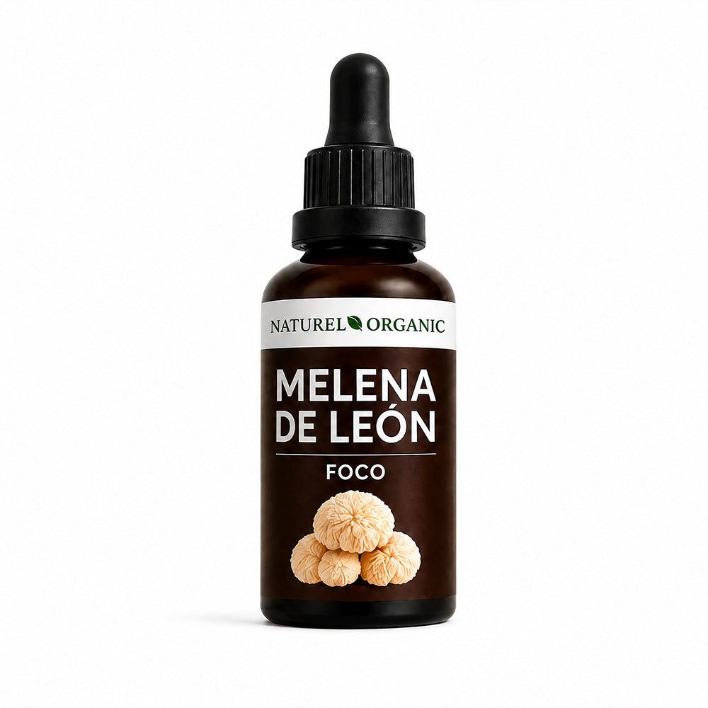 Melena de León extracto líquido 50ML