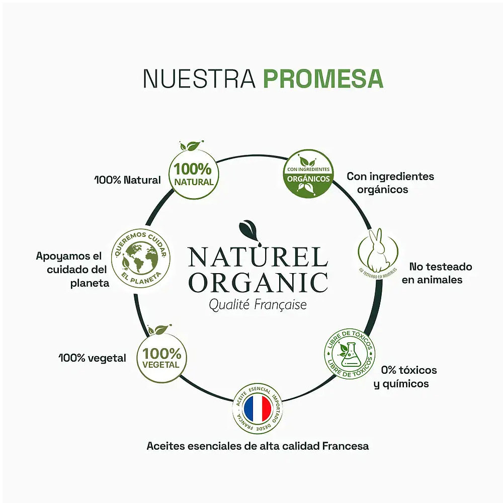 Sinergia Aromaterapia Concentration et Creativite-10ml